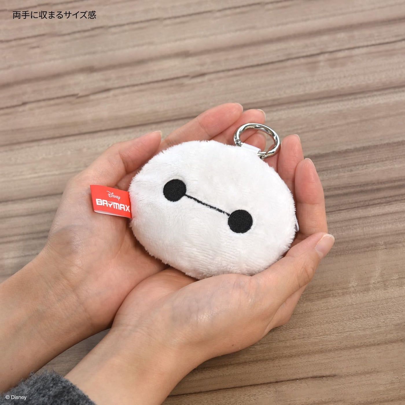 【AIRPODS CASE】ディズニーキャラクター イヤホンマルチポーチ ベイマックス